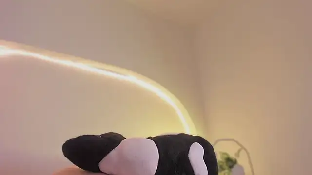 katiepeach  online show from 12, 3, 2026