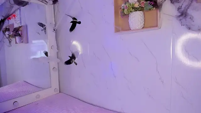 sabrinahimss online show from 29, 10, 2025