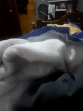 betinhodelas online show from 3, 2, 2026