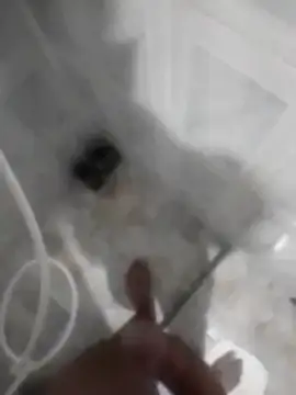 betinhodelas online show from 30, 11, 2025