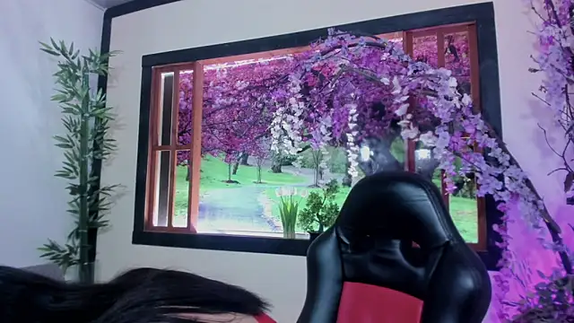 Susan DiSantys online show from 11, 2, 2025