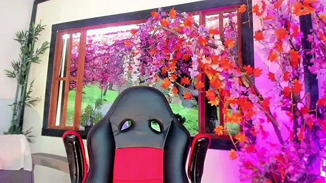 Susan DiSantys online show from 11, 3, 2025