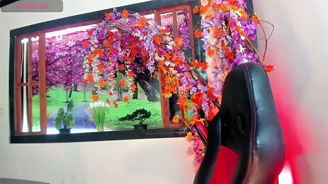 Susan DiSantys online show from 26, 2, 2025