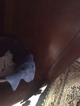 TangoingSorbet online show from 2, 11, 2025