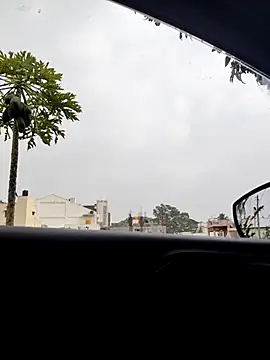 KingCobraClassy online show from 6, 1, 2026