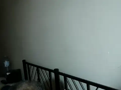 100Tauros online show from 2, 11, 2025