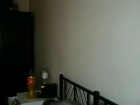 100Tauros online show from 8, 11, 2025