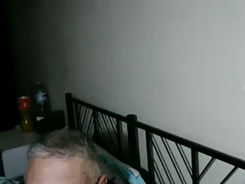 100Tauros online show from 1, 11, 2025