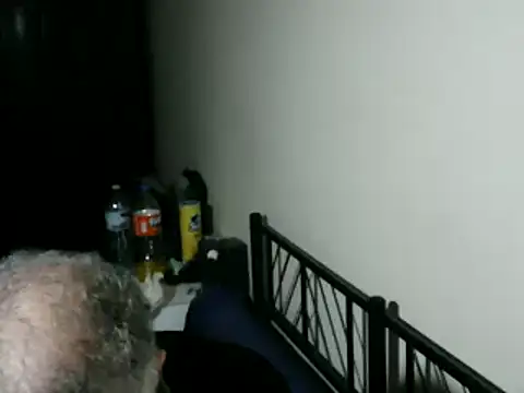 100Tauros online show from 5, 2, 2026