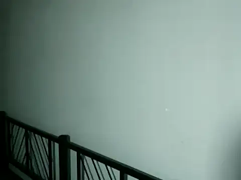 100Tauros online show from 13, 11, 2025