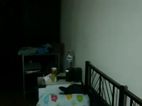 100Tauros online show from 1, 12, 2025