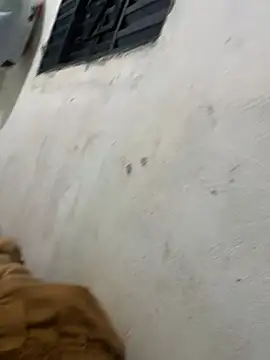 broklinguga online show from 15, 3, 2025