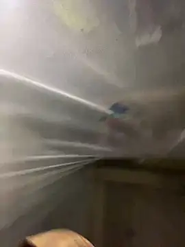 T tina92 online show from 14, 1, 2026