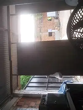 leyel00155 online show from 25, 9, 2025