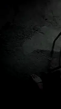 mendelicius online show from 20, 12, 2025