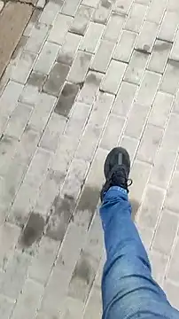 mendelicius online show from 5, 11, 2025