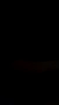 mendelicius online show from 14, 2, 2026