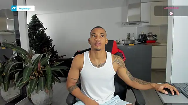 TROYWESLY- online show from 13, 1, 2026