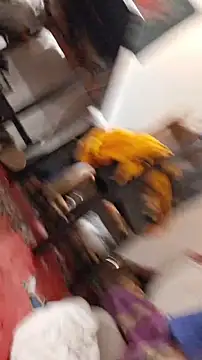 Snapshot of emma_neko chatting on 22, 11, 2025 emma neko online show from 22, 11, 2025