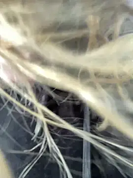 emma neko online show from 15, 4, 2026