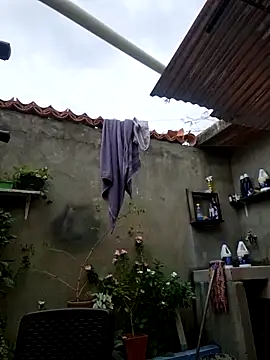 room 24funn online show from 19, 12, 2025