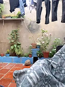 Snapshot of room_24funn chatting on 29, 11, 2025 room 24funn online show from 29, 11, 2025