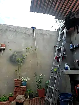 Snapshot of room_24funn chatting on 19, 10, 2025 room 24funn online show from 19, 10, 2025