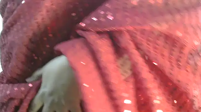 rehana88 online show from 17, 3, 2025