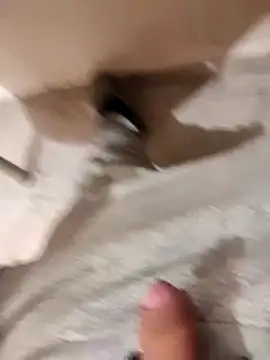 skrigul12 online show from 14, 12, 2024