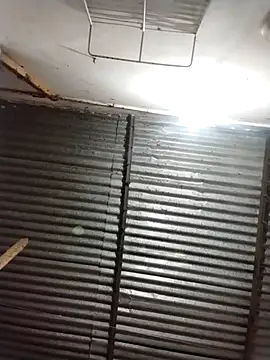 Andreita 95 online show from 7, 3, 2026