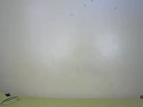 StarBarbiee online show from 15, 11, 2025