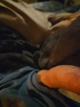 ruffuuss online show from 10, 1, 2026