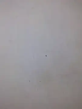 AmnionicDemeanor online show from 5, 10, 2025