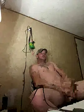 curvedcock8666 online show from 24, 11, 2025