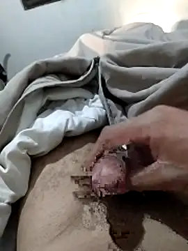 dantaradinho online show from 19, 4, 2026