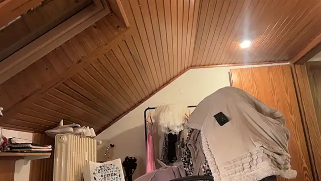 JeSuisUnTapin online show from 30, 11, 2025