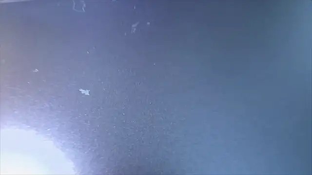 MyPhoenix online show from 15, 4, 2026