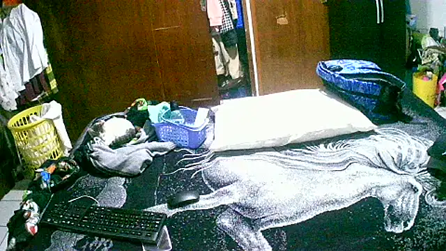 jperezofficial1 online show from 13, 9, 2025