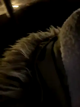 Ner0924 N online show from 2, 12, 2024