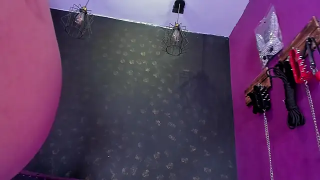 Snapshot of Alexa_Slave chatting on 6, 2, 2026 Alexa Slave online show from 6, 2, 2026