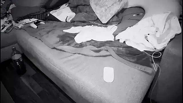 Snapshot of swissMen_DE chatting on 13, 2, 2025 swissMen DE online show from 13, 2, 2025