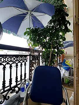 lyna bl online show from 7, 10, 2025