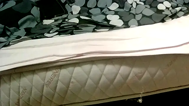 robertone80 online show from 2, 3, 2025