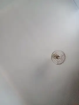 katymojadit online show from 20, 1, 2025