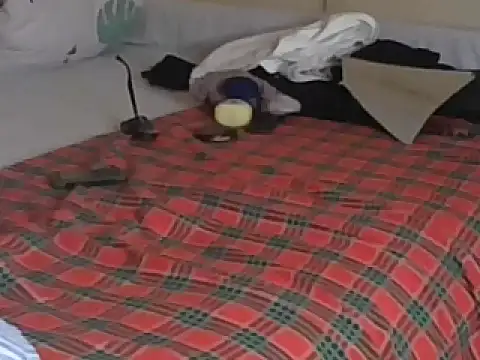 Bootiq online show from 19, 12, 2025