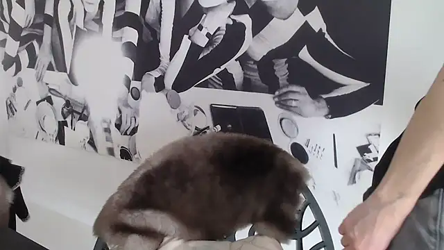 Snapshot of godinflower chatting on 21, 2, 2026 godinflower online show from 21, 2, 2026