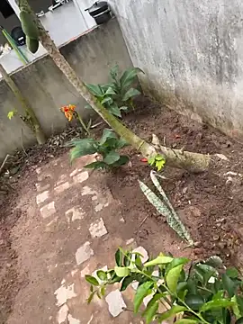 Snapshot of king_cum_ chatting on 11, 2, 2026 king cum online show from 11, 2, 2026