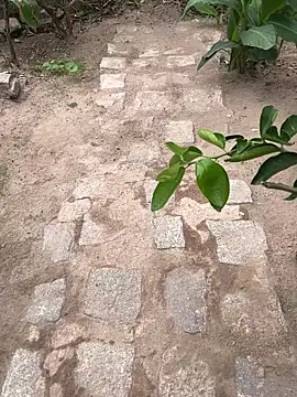 Snapshot of king_cum_ chatting on 18, 2, 2026 king cum online show from 18, 2, 2026