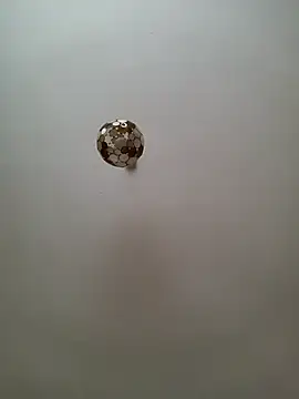 JulianJ50 online show from 12, 11, 2025