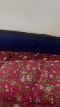 zeck80 online show from 24, 10, 2025